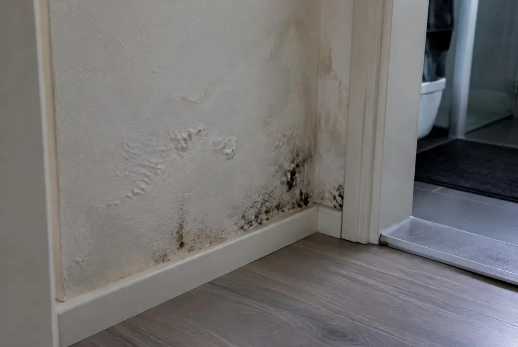 Lekdetectie Voorburg – vochtplek met schimmel op een muur